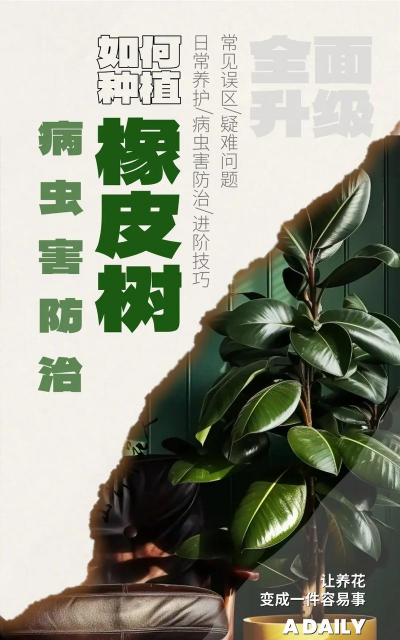 黄化树的防治，找准原因，对症下药