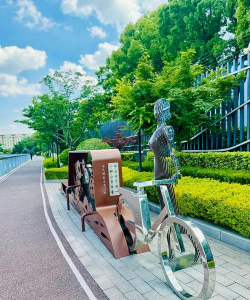 黄化树的防治，找准原因，对症下药