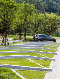 种植和栽培，掌握关键技巧，轻松打造理想花园