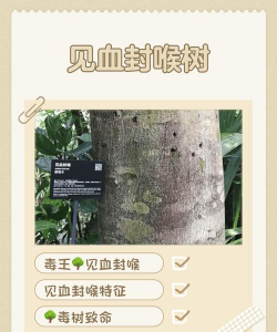 紫薇树蚜虫防治，识别虫害特征，掌握有效方法