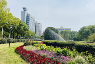 南瓜树病害防治，识别常见问题，掌握应对方法