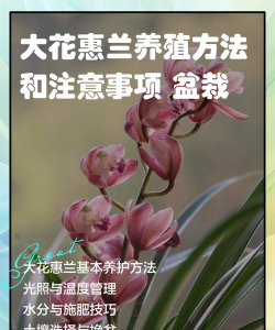 紫荆树病虫防治，识别常见问题，掌握有效方法