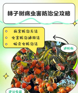 紫荆树病虫防治，识别常见问题，掌握有效方法