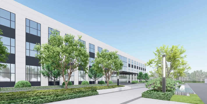 紫荆树病虫防治，识别常见问题，掌握有效方法