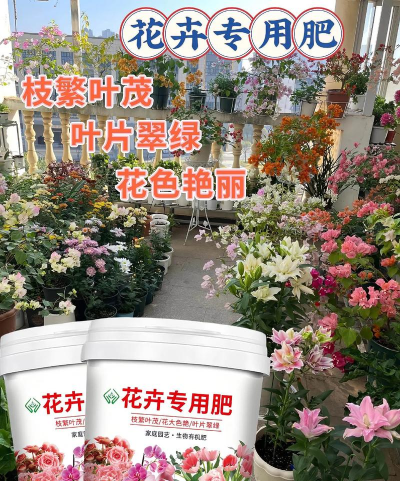 家庭养花用生根粉