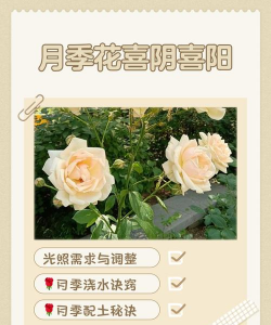 紫荆树病虫防治，识别常见问题，掌握有效方法