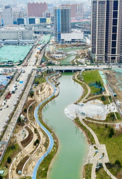 长寿花怎么养棒棒糖，造型技巧分享，新手也能学会