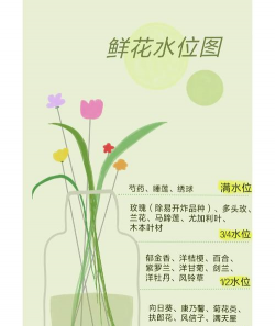 黄化树的防治，找准原因，对症下药