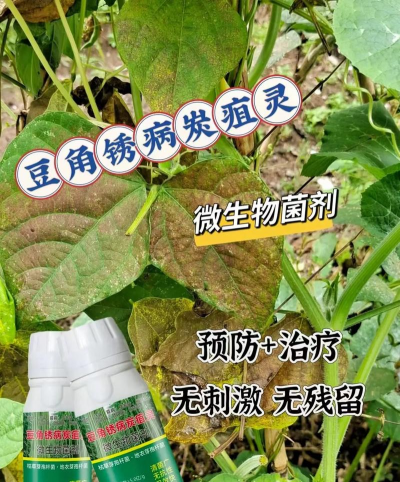 黄化树的防治，找准原因，对症下药