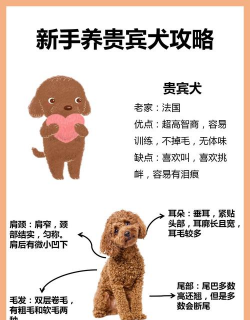 黄化树的防治，找准原因，对症下药