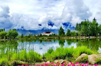 姜堰大道绿化设计，提升城市形象，改善居民生活