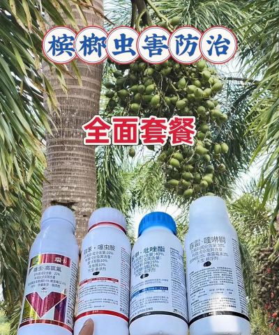 槟榔树防治药剂,常见问题解答,使用注意事项 槟榔树防治药剂,常见问题解答,使用注意事项