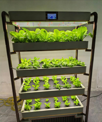 自制无土栽培设备,轻松搞定家庭种植,享受绿色生活 自制无土栽培设备,轻松搞定家庭种植,享受绿色生活