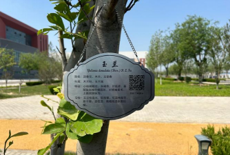 甜玉米栽培技术要点，选种育苗，田间管理