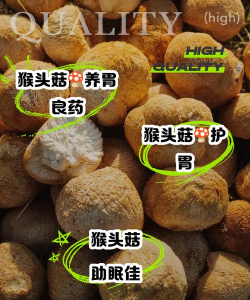 树腐烂病防治，识别早期症状，掌握有效方法