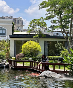 树腐烂病防治，识别早期症状，掌握有效方法