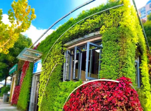 道路绿化设计要求，提升城市形象，改善出行体验