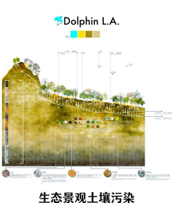 道路绿化设计要求，提升城市形象，改善出行体验