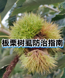 种植和栽培，掌握关键技巧，轻松打造理想花园
