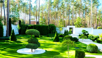 种植和栽培，掌握关键技巧，轻松打造理想花园