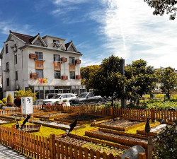 上海农村绿化设计，提升乡村环境，打造宜居家园