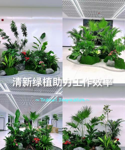 办公区绿化设计，提升环境舒适度，改善员工心情