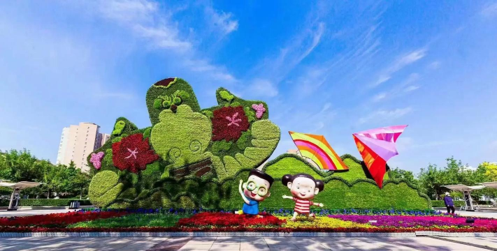 梨树栽培与管理技术，掌握关键要点，提升果实品质