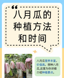 梨树栽培与管理技术，掌握关键要点，提升果实品质