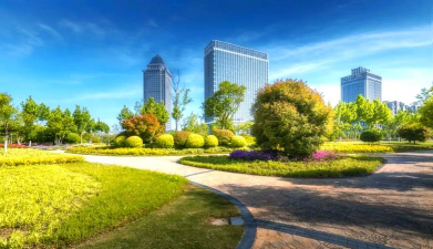 天津河边绿化设计,提升城市形象,改善居民生活 天津河边绿化设计,提升城市形象,改善居民生活