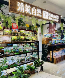 郑州门面绿化设计,提升店铺形象,吸引更多顾客 郑州门面绿化设计,提升店铺形象,吸引更多顾客