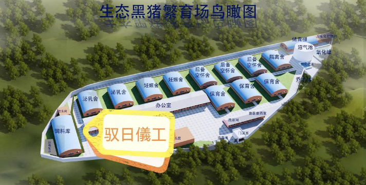 姜堰大道绿化设计，提升城市形象，改善居民生活