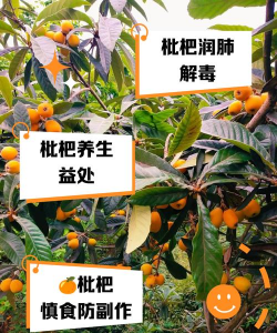 道路绿化设计要求，提升城市形象，改善出行体验