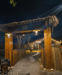 道路绿化设计要求，提升城市形象，改善出行体验