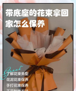 道路绿化设计要求，提升城市形象，改善出行体验