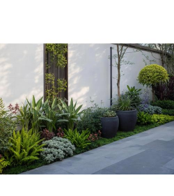 梨树栽培与管理技术，掌握关键要点，提升果实品质