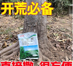 梨树栽培与管理技术，掌握关键要点，提升果实品质