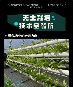无土栽培网,种植新选择,技术全解析 无土栽培网,种植新选择,技术全解析