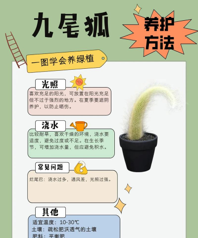 种植和栽培，掌握关键技巧，轻松打造理想花园