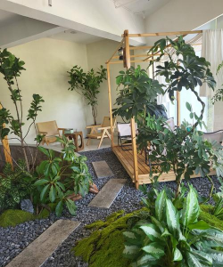 种植和栽培，掌握关键技巧，轻松打造理想花园