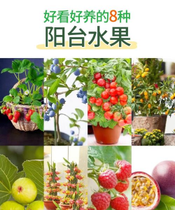种植和栽培，掌握关键技巧，轻松打造理想花园