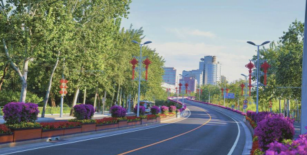 北京中路绿化设计，提升城市形象，改善居民生活