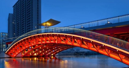 草果栽培，掌握关键技巧，实现高产稳收