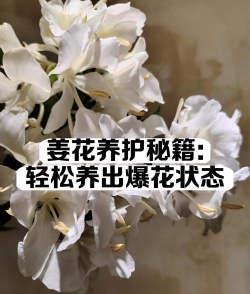 桑椹树病虫防治方法，常见问题解析，实用应对技巧