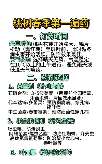桑椹树病虫防治方法，常见问题解析，实用应对技巧