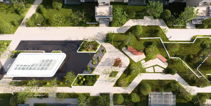 桑椹树病虫防治方法，常见问题解析，实用应对技巧