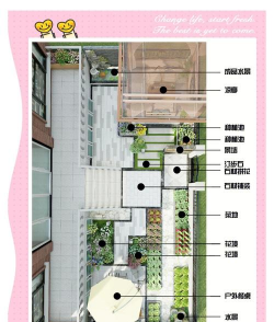 桑椹树病虫防治方法，常见问题解析，实用应对技巧
