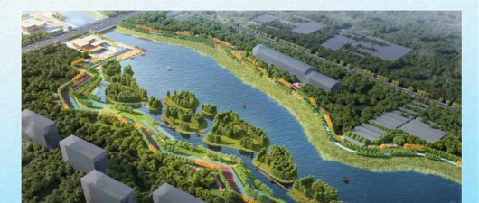 桑椹树病虫防治方法，常见问题解析，实用应对技巧