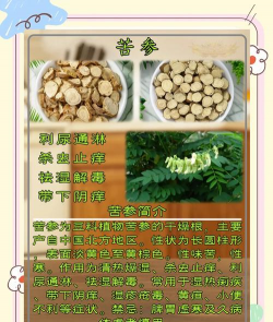 桑椹树病虫防治方法，常见问题解析，实用应对技巧