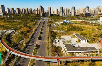 桑椹树病虫防治方法，常见问题解析，实用应对技巧