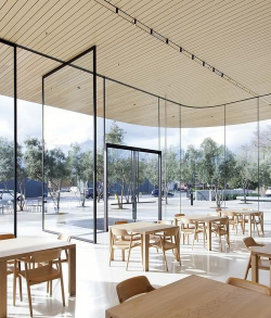 桑椹树病虫防治方法，常见问题解析，实用应对技巧